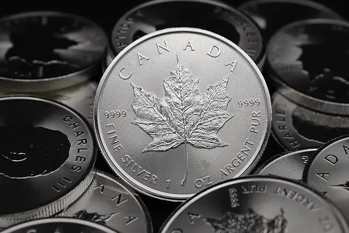 Buy Canadian Silver Coins in UK Guide for Investors